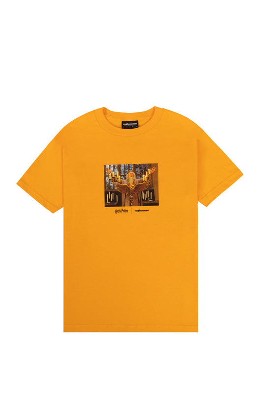 The Hundreds x Harry Potter albus tee