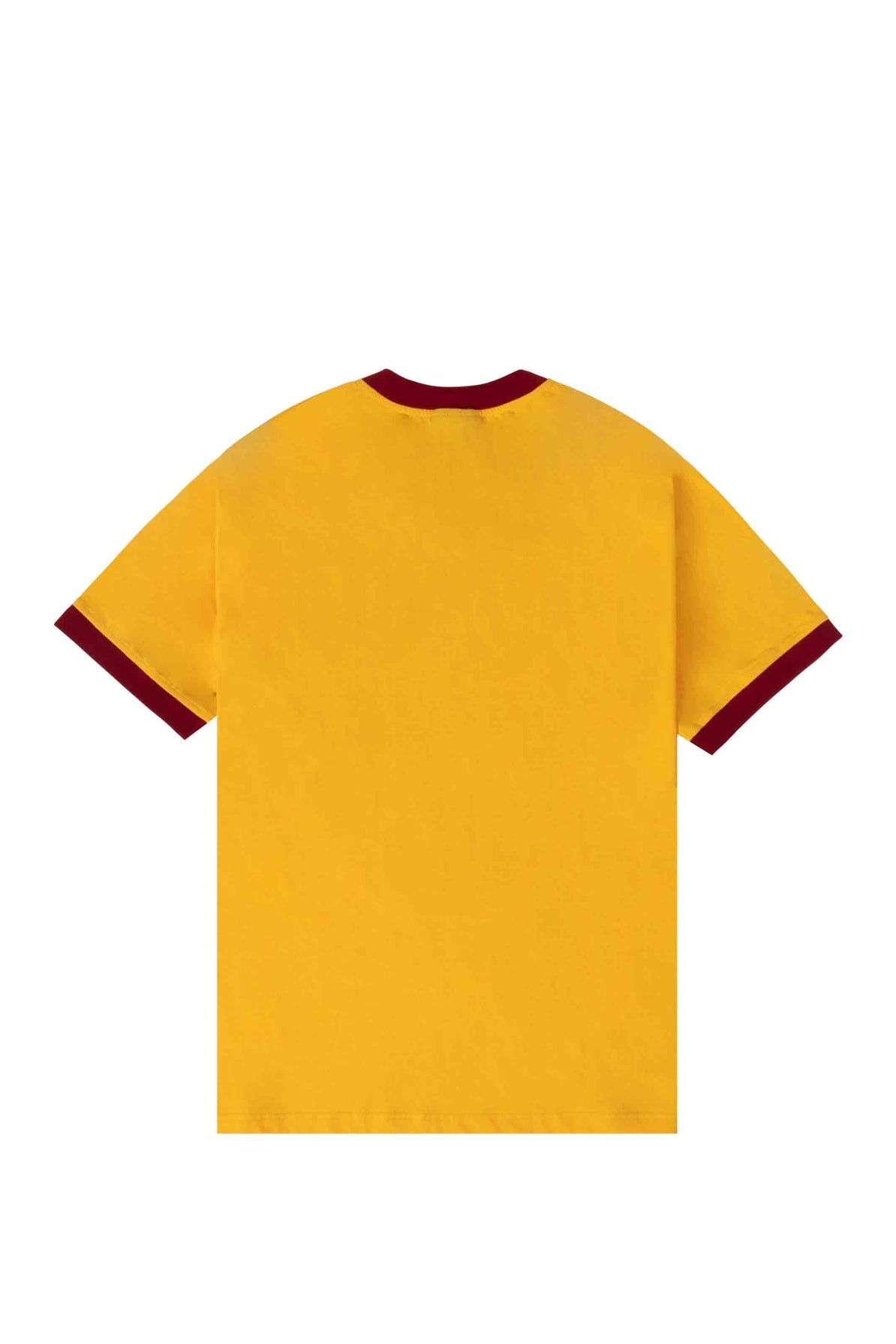 Copy of The Hundreds x Harry Potter gryffindor crest ringer tee