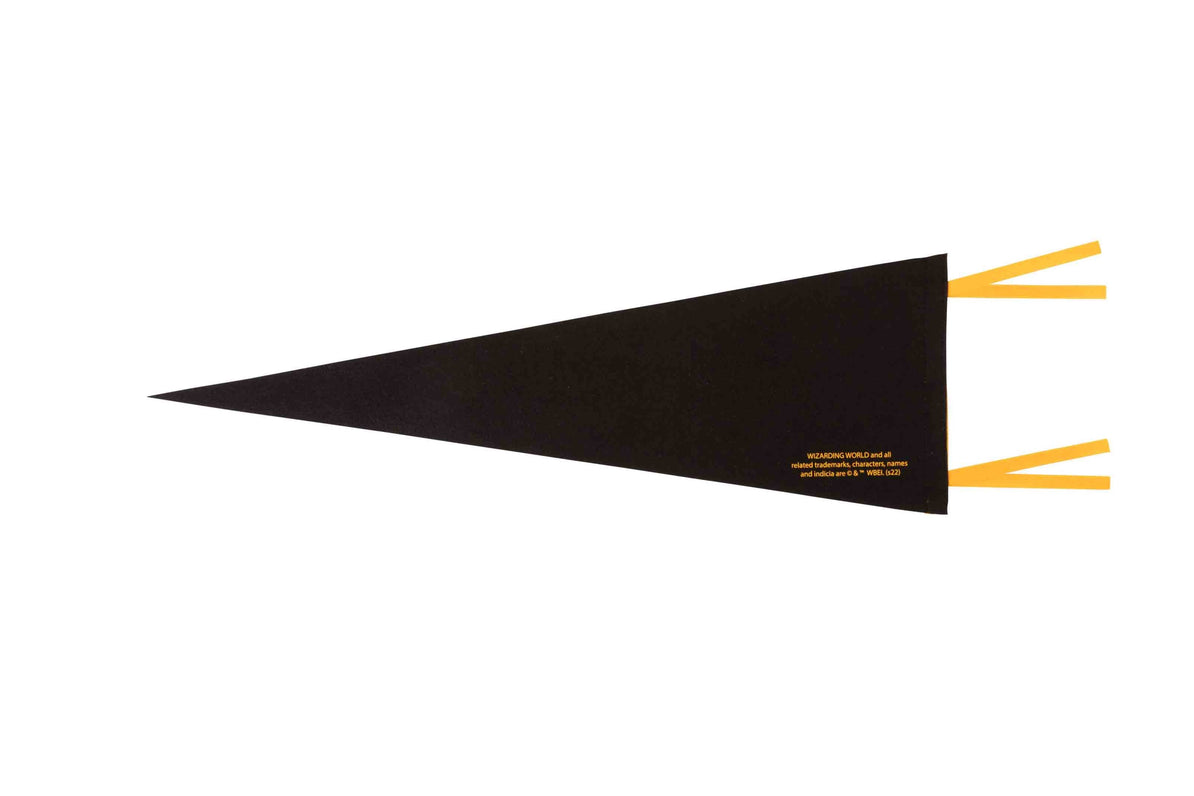 The Hundreds x Harry Potter hogwarts pennant