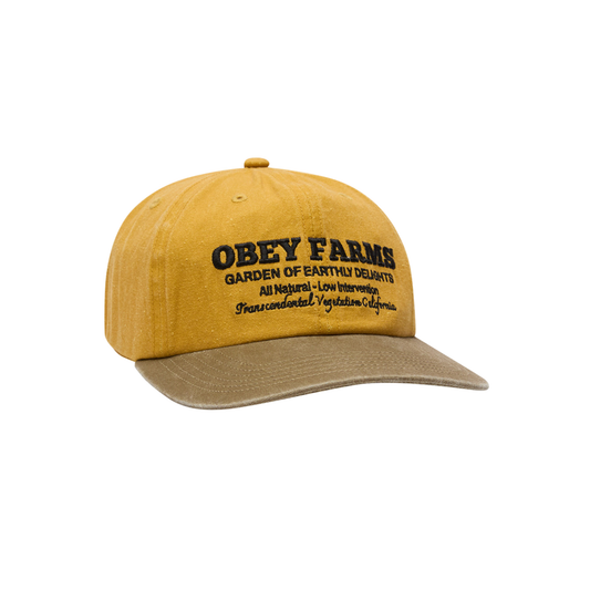 Obey farms pigment strapback