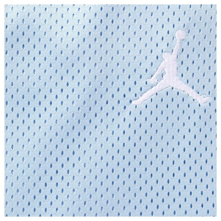 Supreme Jordan Basketball Short Light Blue