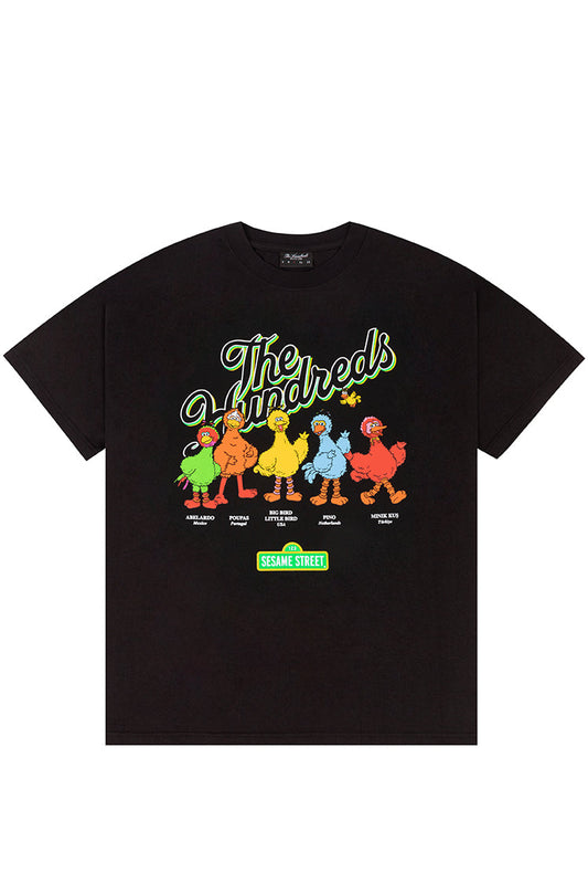 The hundreds x Sesame Street birds of a feather tee