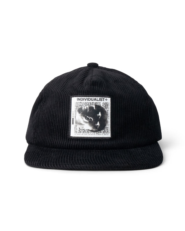 Individualist Lab Picasso 4 Panel Hat
