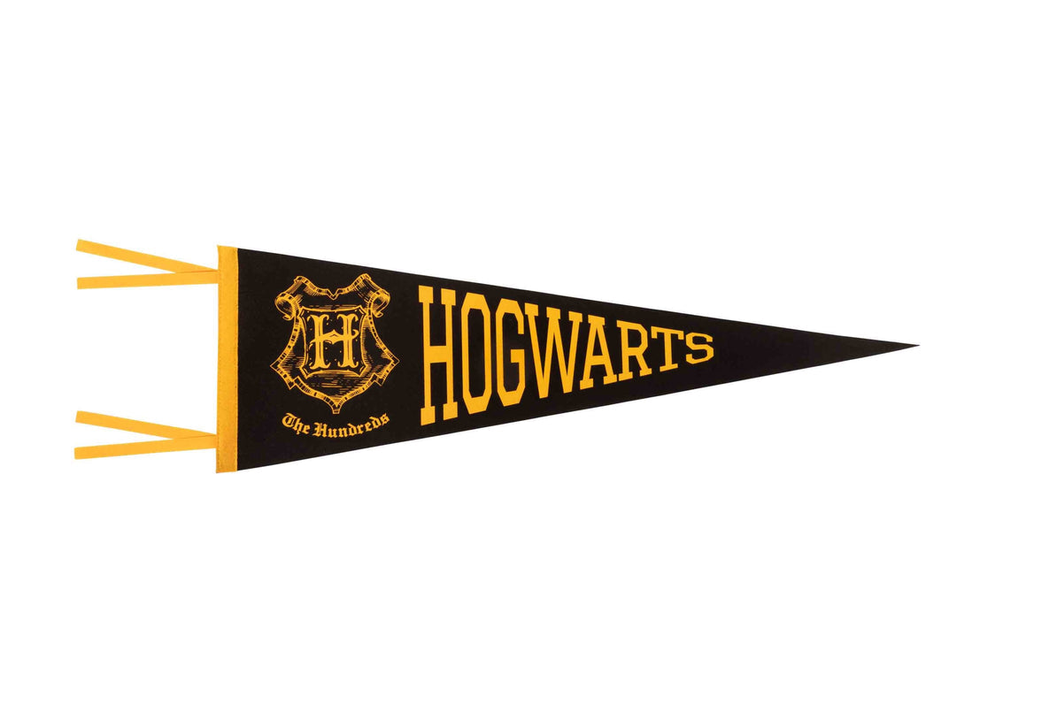 The Hundreds x Harry Potter hogwarts pennant